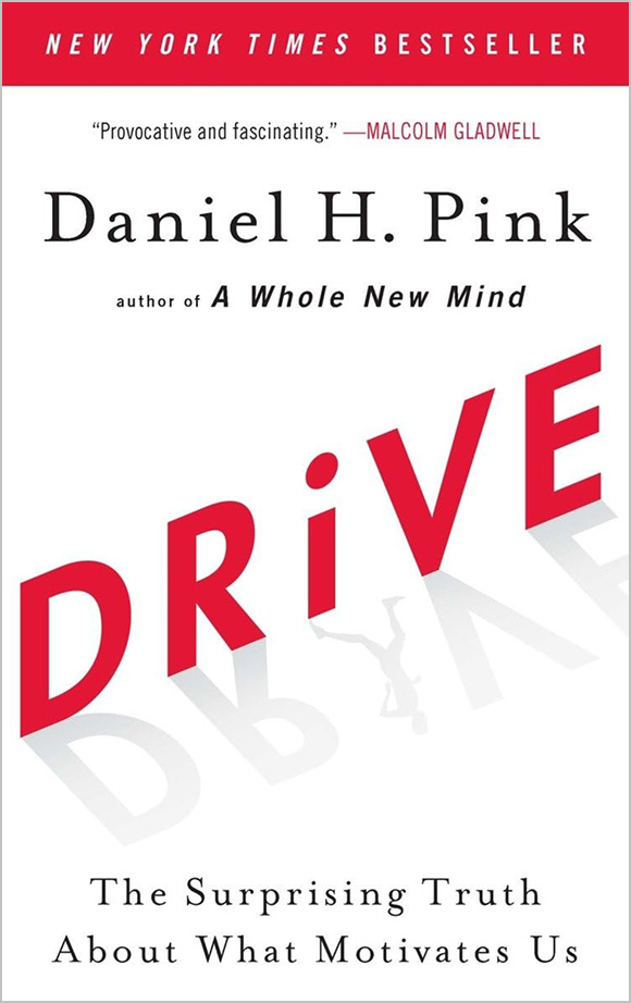 Drive book cover